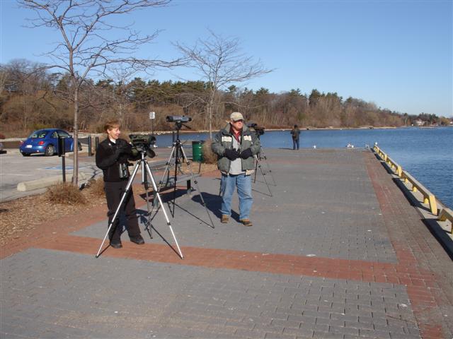 Swan Spot
