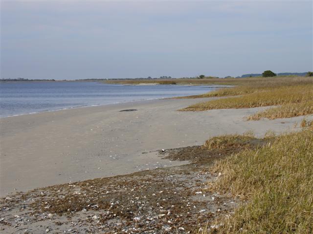 Oyster beds Jekyll Island