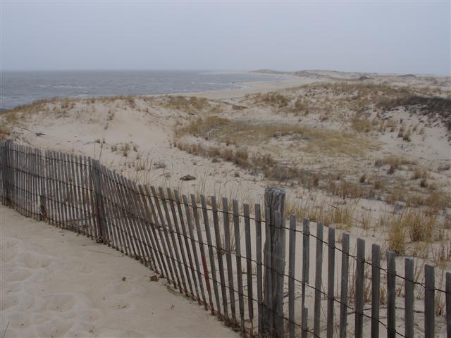 Cape Henlopen