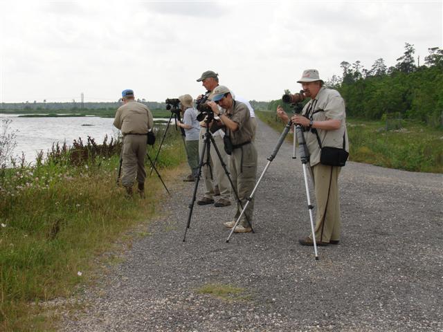 Checking rice fields