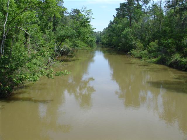 Prothonotary Warbler habitat