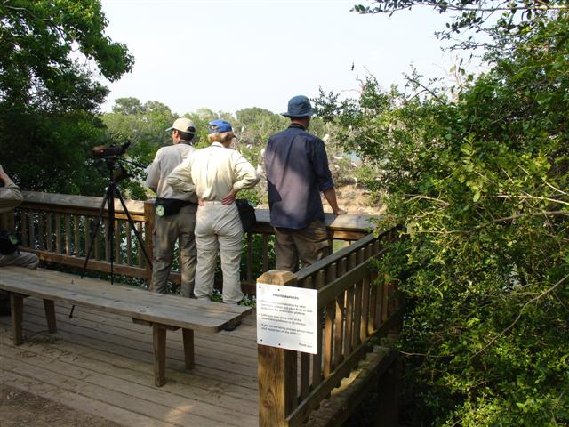 Heronry overlook