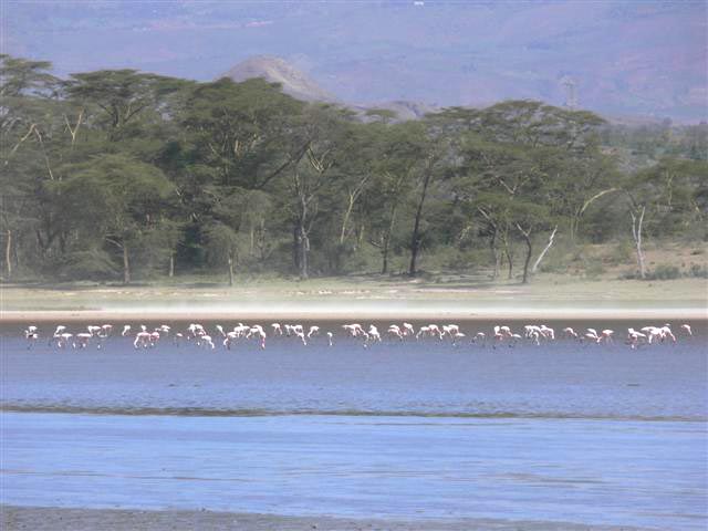 Lake View