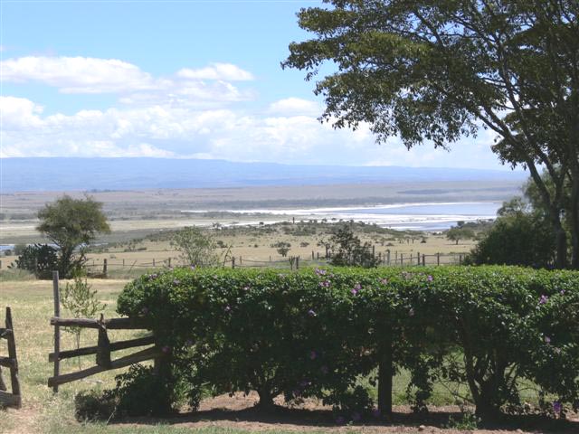 View from Restaurant