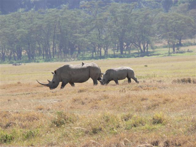 Mom and baby