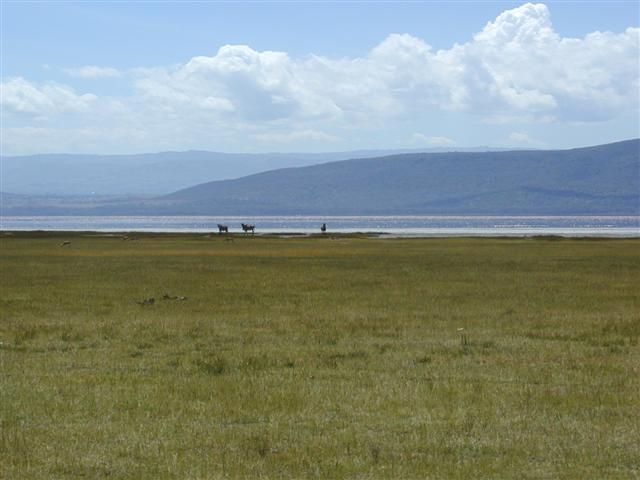 Scenery