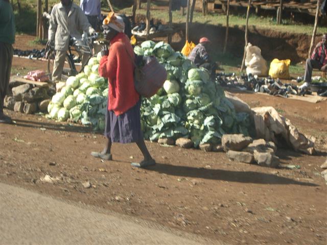 Cabbages