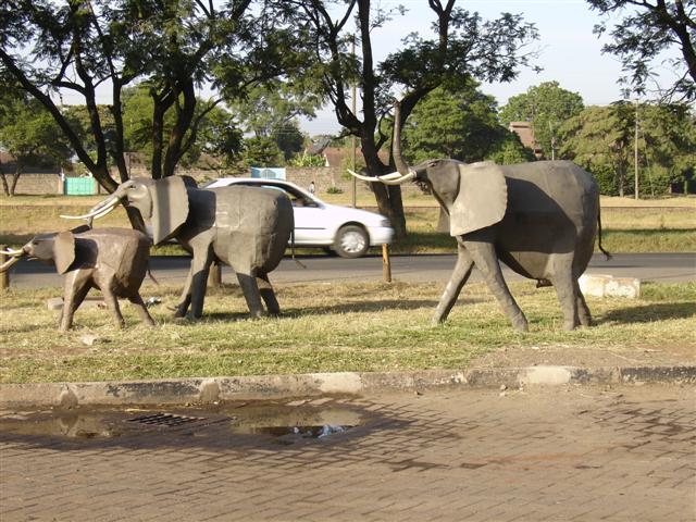 Elephant statues