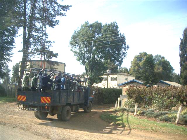 Transport