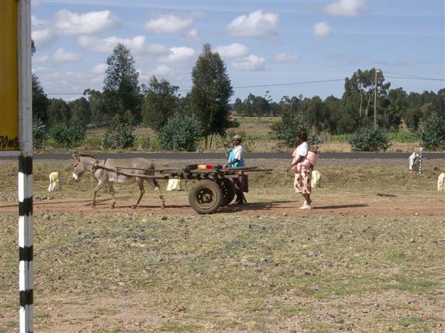 Group with Donkey