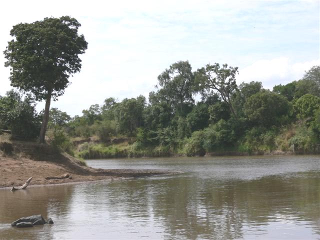 Mara River
