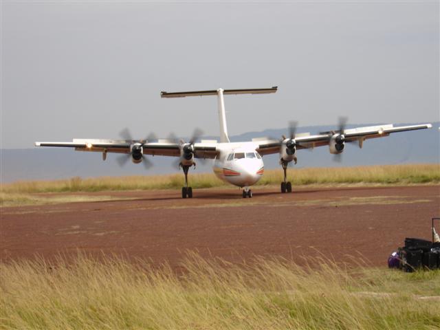 Plane on the Ground