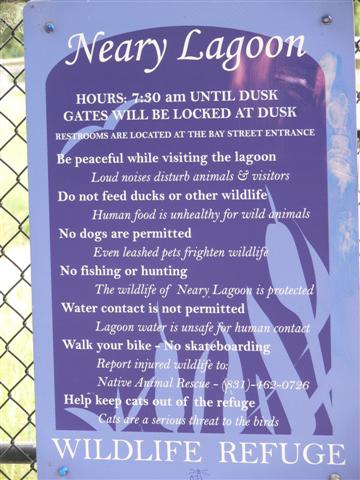 Neary Lagoon Sign