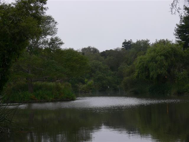 View of Neary Lagoon