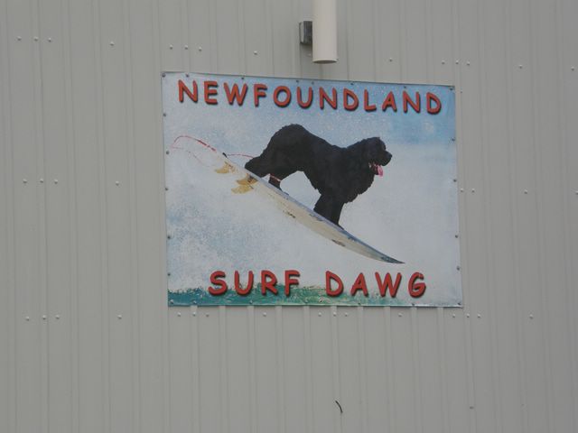 Surf Dawg