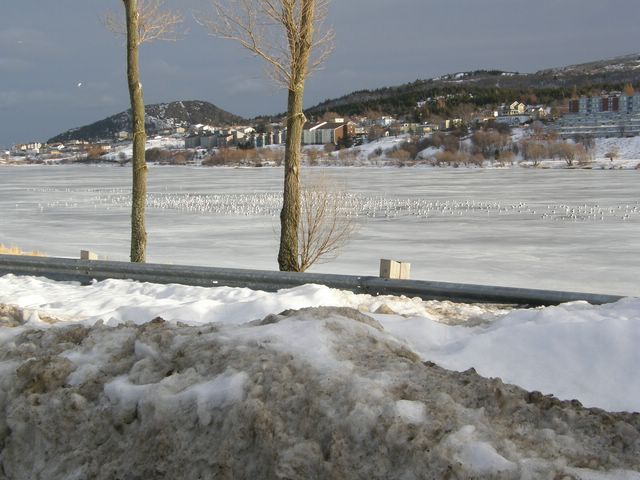 Quidi Vidi