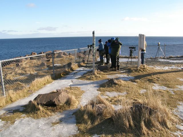Cape Spear
