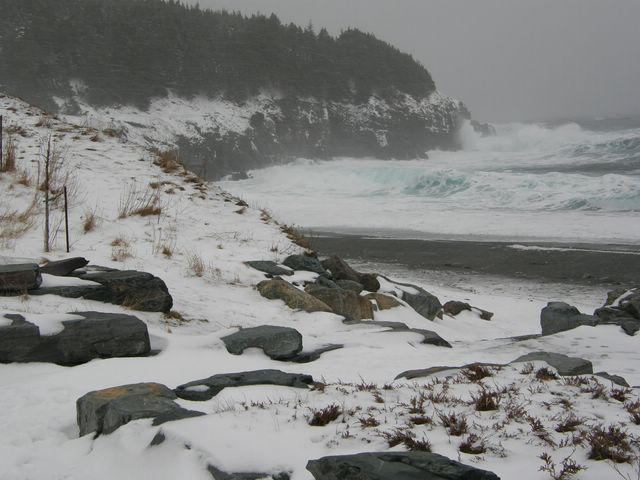 Middle Cove
