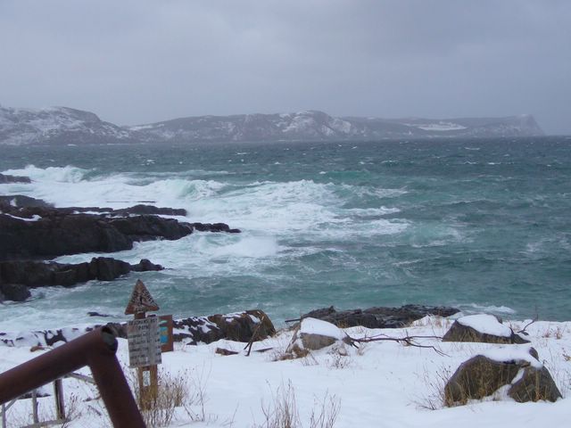 Middle Cove
