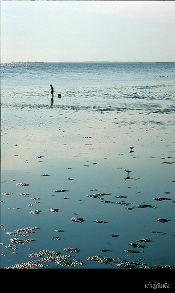 Image1276 copy.jpg
