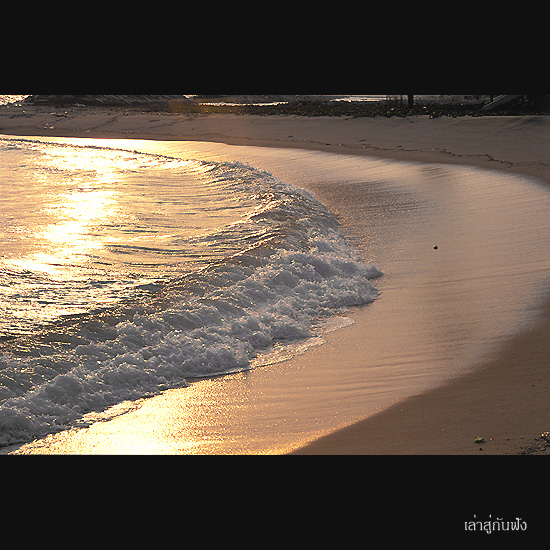 Image1299 copy.jpg