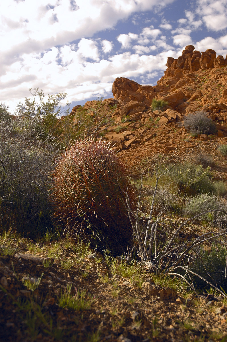 Valley Of Fire_09.jpg