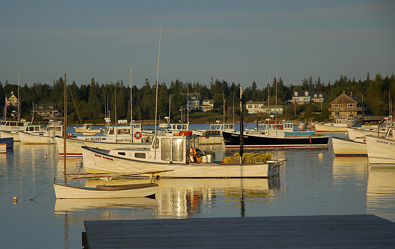 DLWS Bernard Harbor_002.jpg