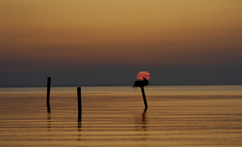 Sunrise on the Chesapeake