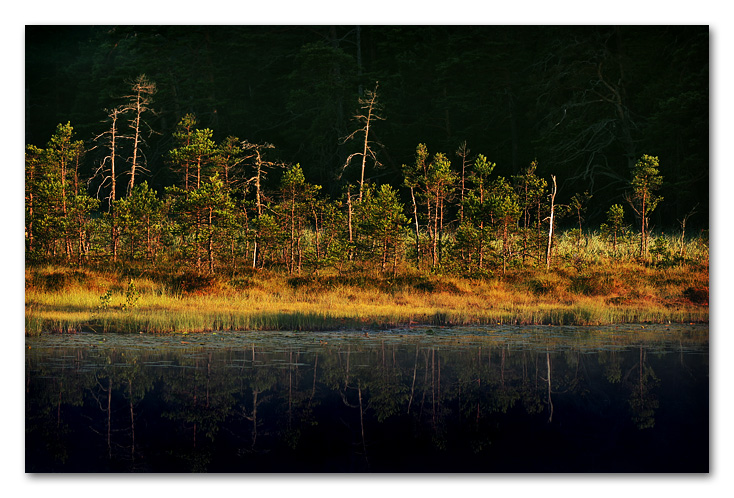 small lake
