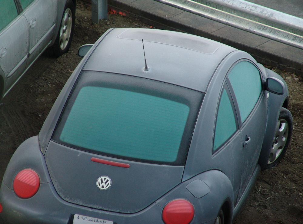 frosty the bug