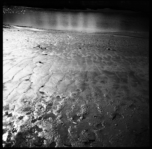 Every river sings its own song II