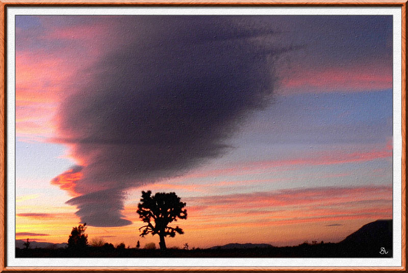 Unusual  Sunset Over The Desert