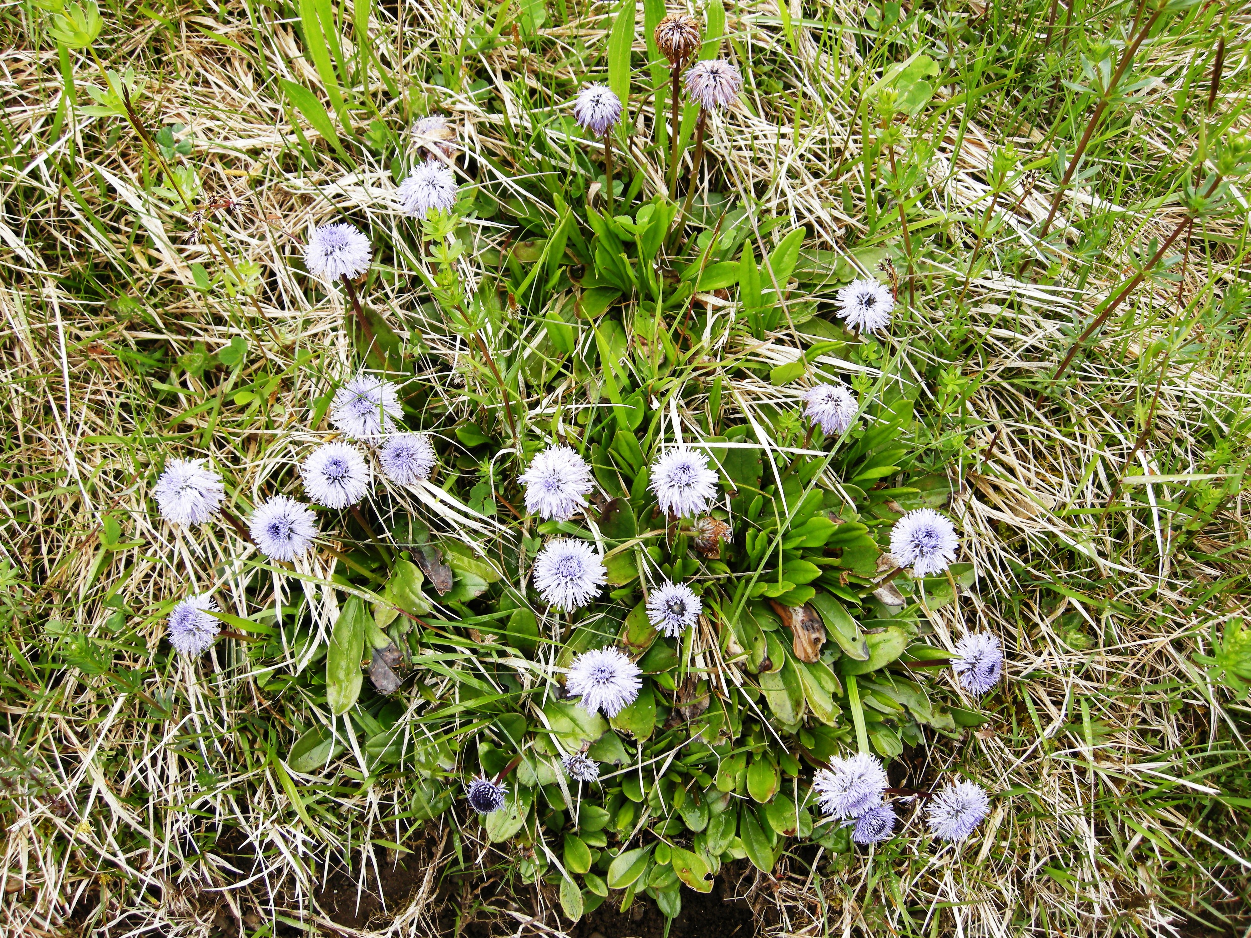 DSCN2589.JPG