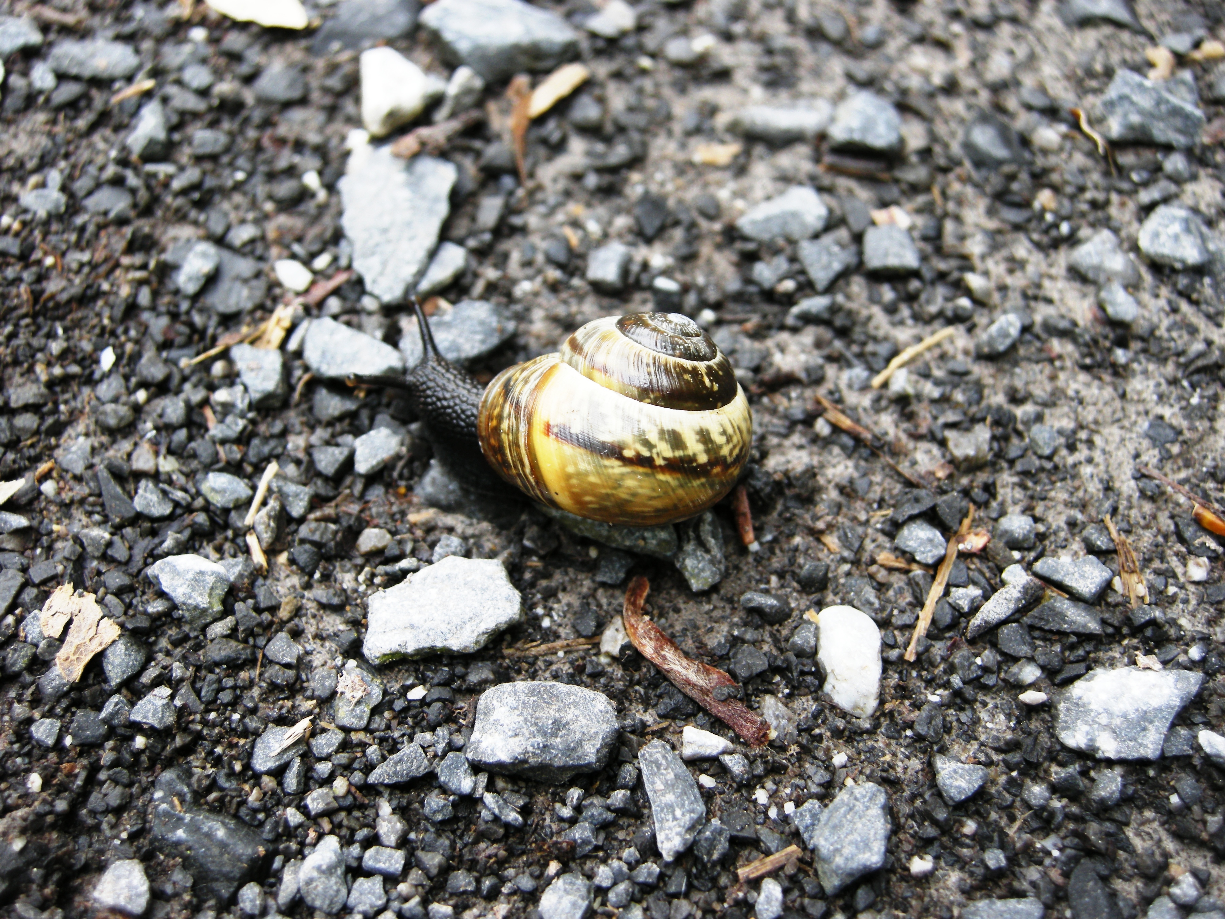 DSCN2596.JPG