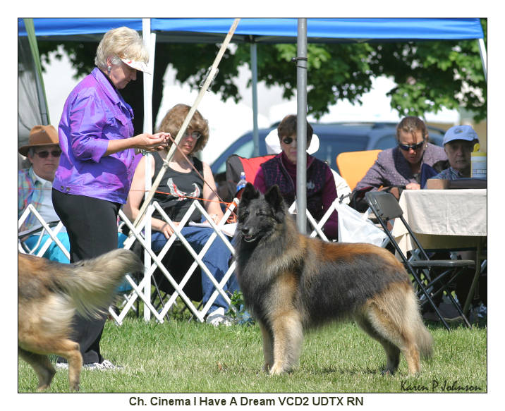Best of Breed