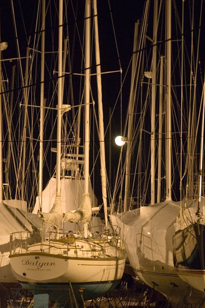 Sailboats in moonlight