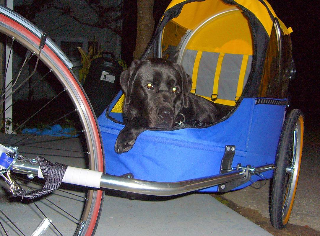 pbase First Ride on August 4 2006.jpg