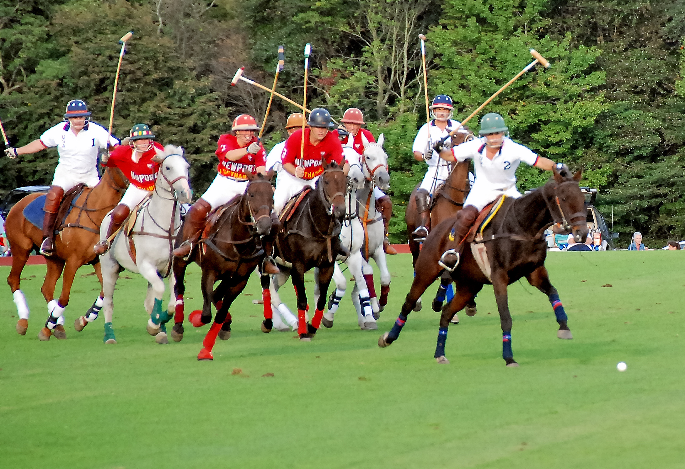 Polo on September 16 2.jpg