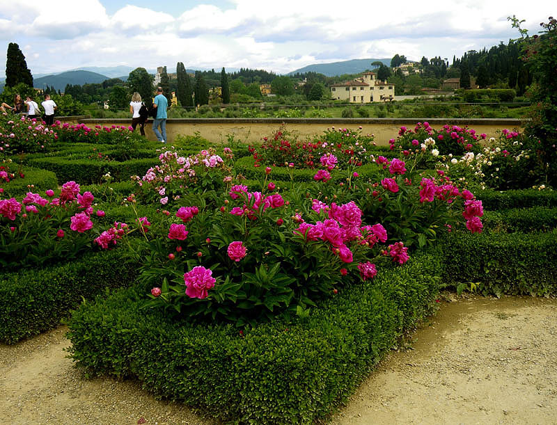 Parterre at Boboli Gardens