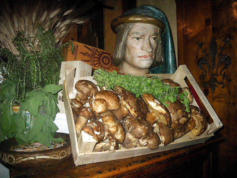 Funghi for sale