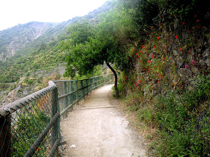 Cinque Terre coastal path