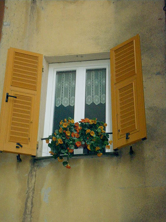 Window, Camolgi