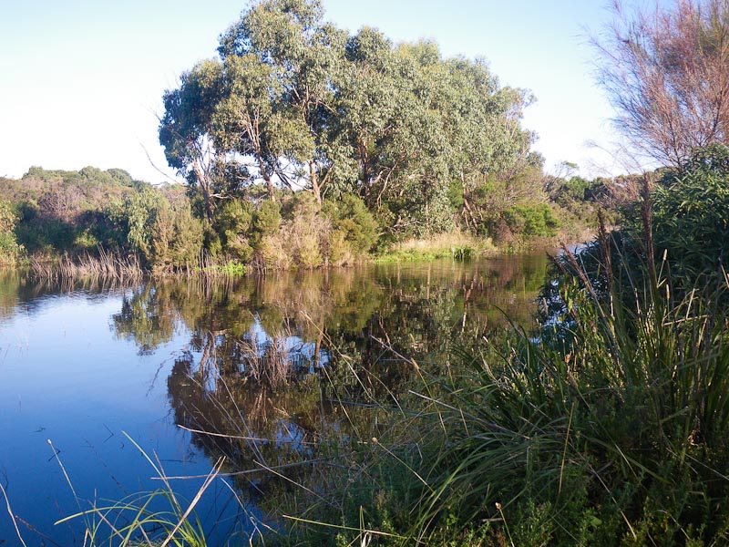 Reflections, Coolart Wetlands and Homestead, Westernport Bay