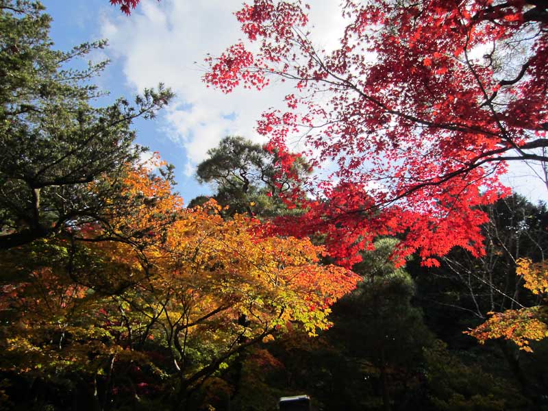 Autumn colours in the eastern hills, Kyoto