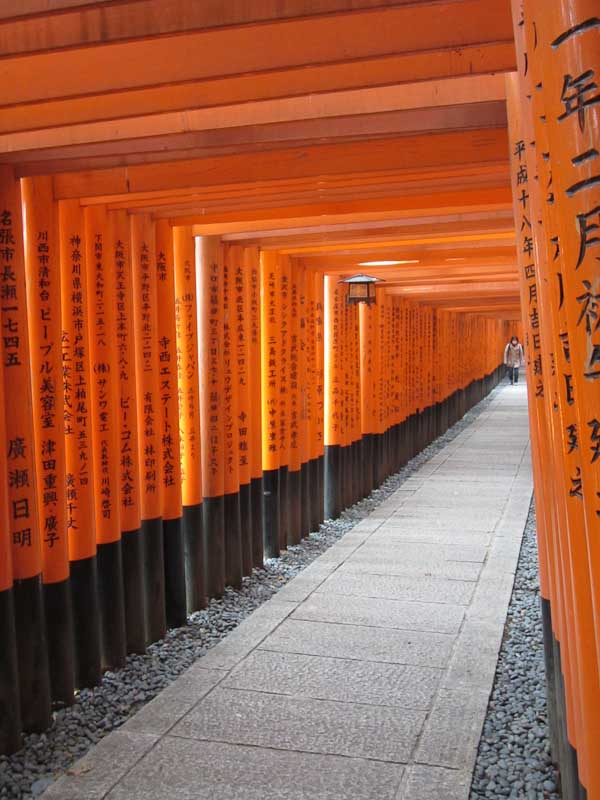 Endless torii gates at the Fushimi Inari Shrine
