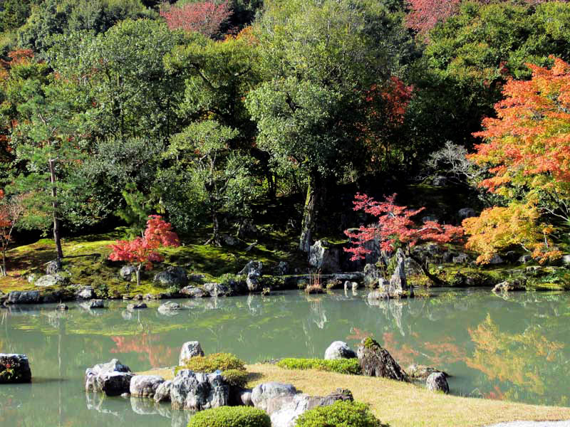 Zen garden, Arashiyama 