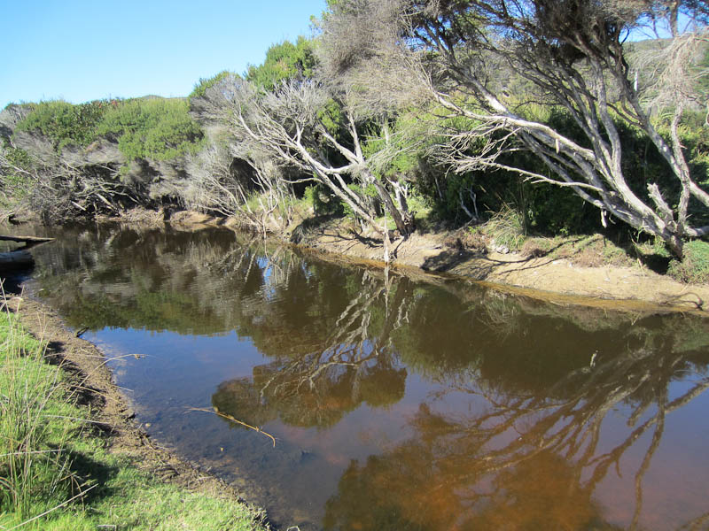 Narawntapu NP, Badger Head