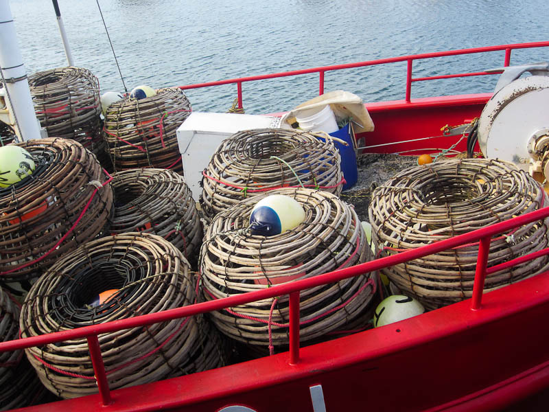 Stanley harbour, crayfish baskets 