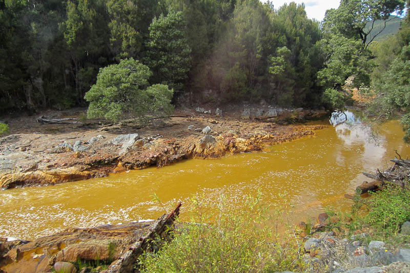 Yellow stained King River