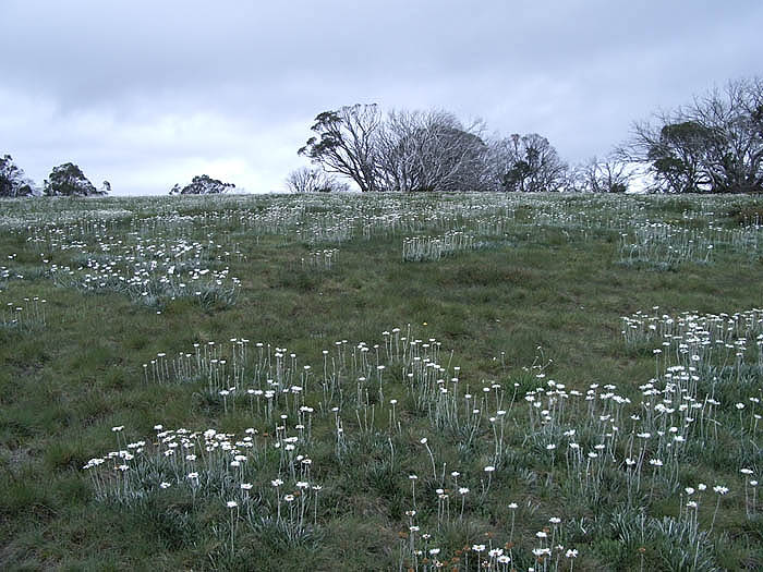 Landscape around Kelly Hut